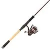 Abu Garcia Tormentor Combo