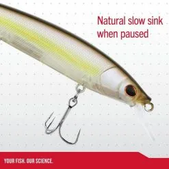 Berkley DEX Stunna 11cm -Rapala Verkäufe 1572718r 3