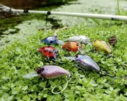 Magic Trout Hustle And Bustle Lake 2,7cm, 1,1g -Rapala Verkäufe 3501101r 2