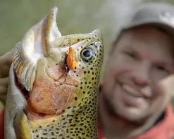 Magic Trout Hustle And Bustle Lake 2,7cm, 1,1g -Rapala Verkäufe 3501101r 3