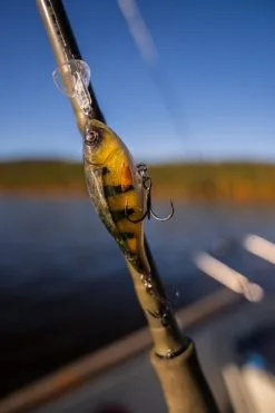 Headbanger Cranky Shad 7 Headbanger Cranky Shad -Rapala Verkäufe CS 25 SS BKr 2