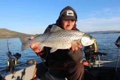 Headbanger Cranky Shad 8 Headbanger Cranky Shad -Rapala Verkäufe CS 25 SS BKr 3