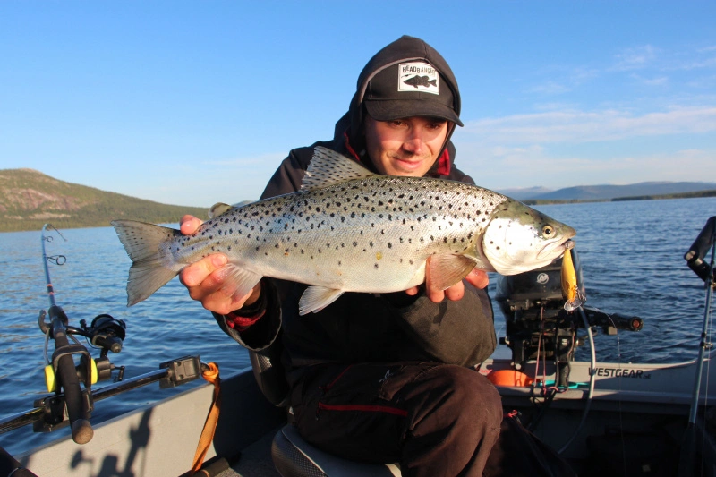 Headbanger Cranky Shad 3 Headbanger Cranky Shad – Bild 3