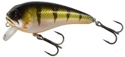 Westin Fishing Westin FatBite 8 Cm 24 G Floating
