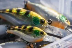 Shimano Yasei Cover Crank F -Rapala Verkäufe LUYASCCFSR07RBTr 4