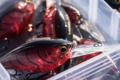 Shimano Yasei Cover Crank F -Rapala Verkäufe LUYASCCFSR07RBTr 5