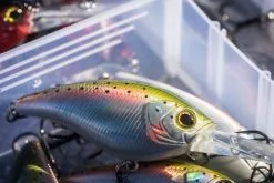 Shimano Yasei Cover Crank F -Rapala Verkäufe LUYASCCFSR07RBTr 6