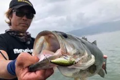 Megabass Deep-X 100 LBO 6 Megabass Deep-X 100 LBO -Rapala Verkäufe MB DX100LBO 473455216r 2