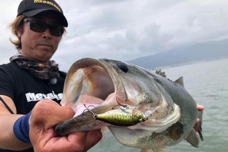 Megabass Deep-X 100 LBO 2 Megabass Deep-X 100 LBO – Bild 2