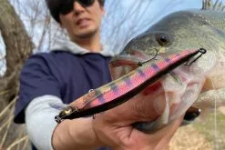 Megabass Vision Oneten LBO -Rapala Verkäufe MB VOLBO 4513473451171r 3