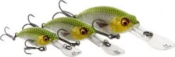 Westin Fishing Westin BuzzBite Crankbait Suspending -Rapala Verkäufe P145 023 001r 3