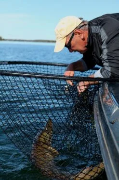 Drifter Tackle Predator Net 48 Black Handle -Rapala Verkäufe PR40XXL BKr 4