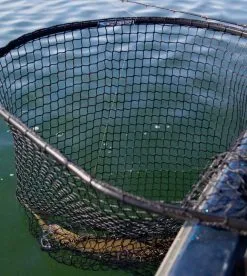 Drifter Tackle Predator Net 48 Black Handle -Rapala Verkäufe PR40XXL BKr 5