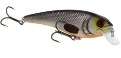 Westin Fishing RawBite 11cm 27g Low Floating -Rapala Verkäufe WS14112r 3