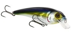 Westin Fishing RawBite 11cm 27g Low Floating -Rapala Verkäufe WS14112r 4